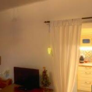 obrazek: avatar UBYTOVÁNÍ U NETOPILŮ