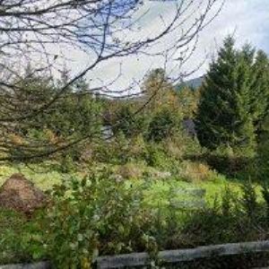 obrazek: avatar CHATA LENKA