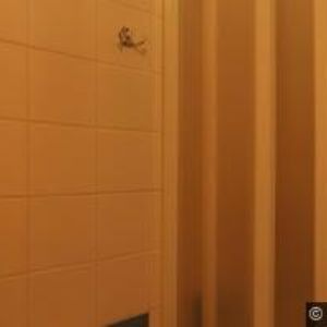 obrazek: avatar UBYTOVNA NA LESNÍ