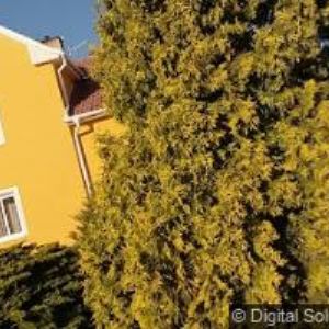 obrazek: avatar KB TAXI