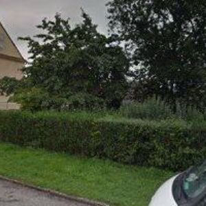 obrazek: avatar LEMON TECH