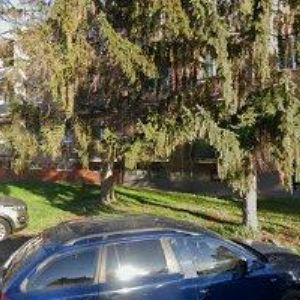 obrazek: avatar ZEMAN TRANS