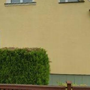 obrazek: avatar SPEED 5