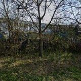 HES CELNÍ DEKLARACE