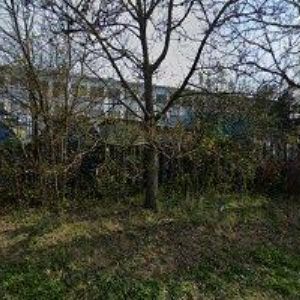 obrazek: avatar HES CELNÍ DEKLARACE