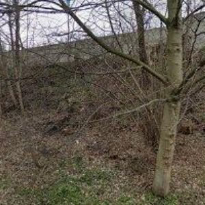 obrazek: avatar MIROSLAV TVRDÝ AUTODOPRAVA, s.r.o.