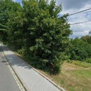 obrazek: avatar AUTODOPRAVA A ZEMNÍ PRÁCE OLOMOUC