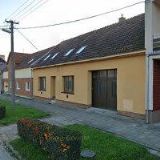 RYZÝ MARTIN-MALÍŘSKÉ A NATĚRAČSKÉ PRÁCE