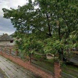 obrazek: avatar KONTEJNEROVÁ DOPRAVA-SONNEK