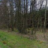 STAVODOM, spol. s r.o.