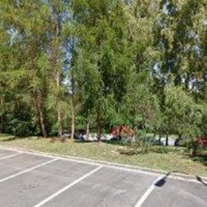 obrazek: avatar SPEDICE BRNO s.r.o.