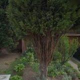 ČEŠEK FRANTIŠEK-ELEKTROINSTALACE ULTRALIGHTŮ