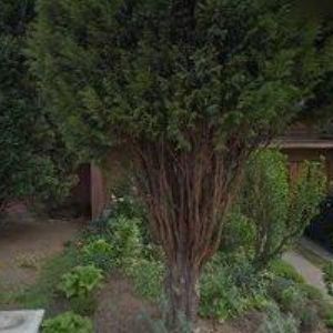 obrazek: avatar ČEŠEK FRANTIŠEK-ELEKTROINSTALACE ULTRALIGHTŮ