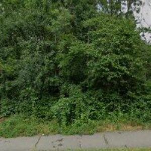 obrazek: avatar V V CAR s.r.o.