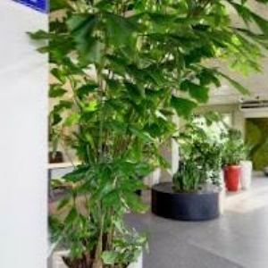 obrazek: avatar FORS TRADE s.r.o.