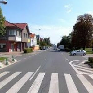 obrazek: avatar AUTO VAŠENDA MOTORSPORT s.r.o.