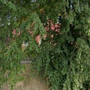 obrazek: avatar PADEVĚT MARTIN