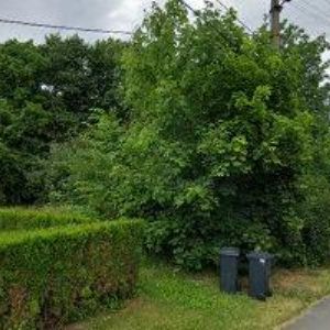 obrazek: avatar BOMB JACK-STUDIO