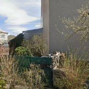 obrazek: avatar DECHOVKA DOLANKA