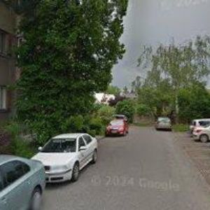 obrazek: avatar HANÁCKÁ DECHOVKA