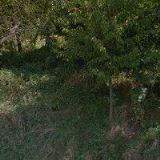 DECHOVÁ HUDBA BLUDOVĚNKA