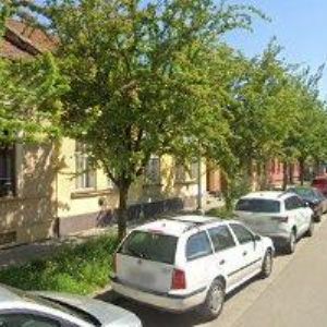 obrazek: avatar BAR 12 OPIC