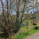 AUTOBAR PENZION FLACHS