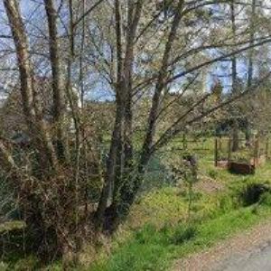 obrazek: avatar AUTOBAR PENZION FLACHS