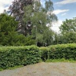 obrazek: avatar ZÁMEK NÁMĚŠŤ NA HANÉ