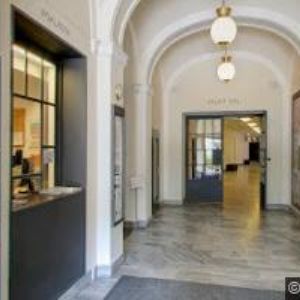 obrazek: avatar DIVADLO POD PALMOVKOU