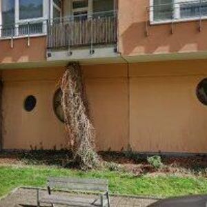 obrazek: avatar AUDIOCOM.CZ