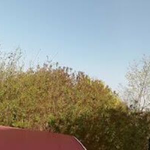 obrazek: avatar STUALARM IMPORT, s.r.o.