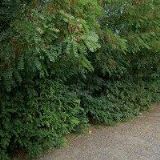 WASHTEC CZ, spol. s r.o.