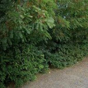 obrazek: avatar WASHTEC CZ, spol. s r.o.