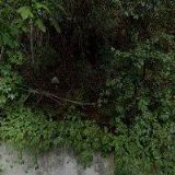 N.E.T. PRAHA, spol. s r.o.