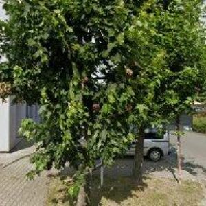 obrazek: avatar MĚSTSKÁ ČÁST Praha-Šeberov