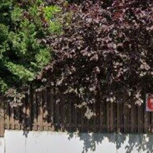 obrazek: avatar MĚSTSKÁ ČÁST Praha-Štěrboholy