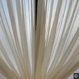 FRANK TOMÁŠ-FRANK BUS