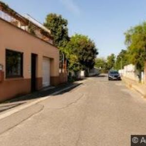 obrazek: avatar SIS TOUR s.r.o.