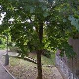 KLUVER HOUSE-TRUHLÁŘSTVÍ LUKAVSKÝ