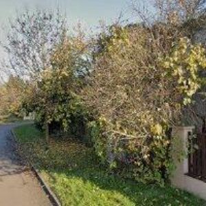 obrazek: avatar ŠNEDORF JAN