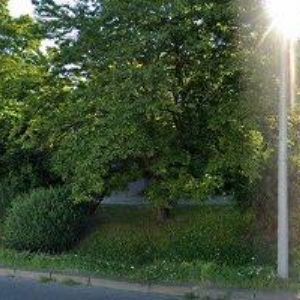 obrazek: avatar FALCOSPED CZ s.r.o.