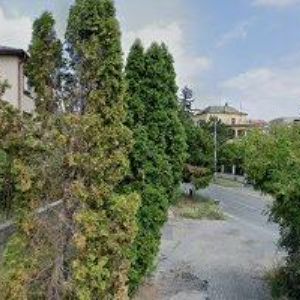 obrazek: avatar KRAFT