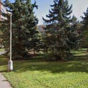 obrazek: avatar AUTODOPRAVA PÁV