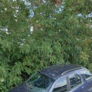 obrazek: avatar VI3 TAXISLUŽBA