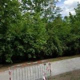 CK UMĚLECKÝ KLUB s.r.o.