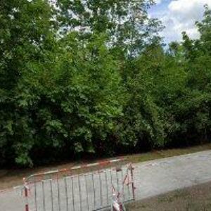 obrazek: avatar CK UMĚLECKÝ KLUB s.r.o.