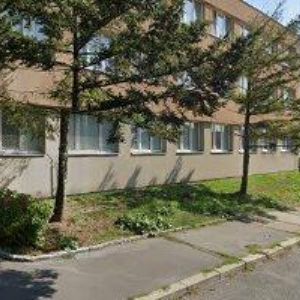 obrazek: avatar KRAFTOVÁ LENKA