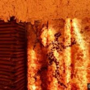 obrazek: avatar LINGUA BOHEMICA