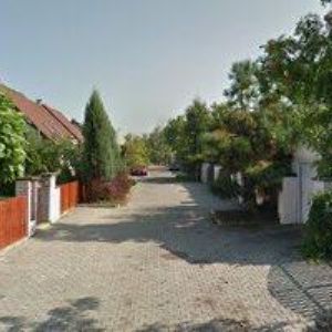 obrazek: avatar LABUS DAVID-JAPANOLOG